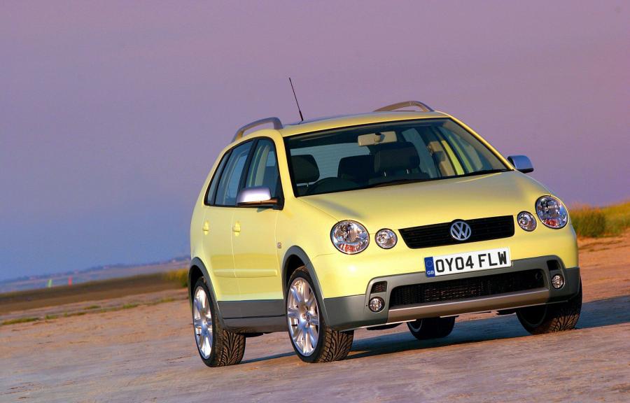 Volkswagen Polo Dune 2004 года  (фото 4 из 6)